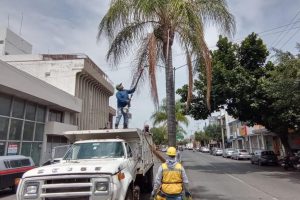 Intensifican labores para mantener en buenas condiciones las áreas verdes