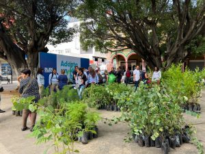 Alrededor de 10 mil arbolitos con la campaña Adopta un Árbol