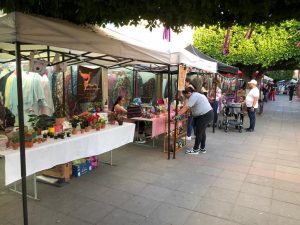 Carlos Soto impulsa el programa Mujer Emprendedora