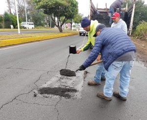 Carlos Soto continua con las faenas en las colonias