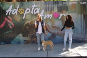 El presidente Carlos Soto invita a la campaña de adopción de animales de compañía