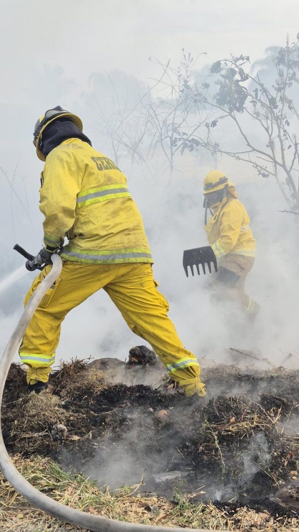 Llamado a la responsabilidad al subir el cerro de La Beata ante pronóstico de fuertes vientos: evitar incendios y accidentes