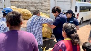 DIF Zamora entrega 2.5 toneladas de papas a familias vulnerables
