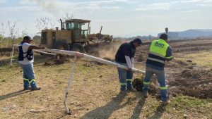 Zamora tendrá un nuevo vivero municipal en Casas de Altos