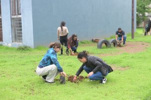 Impulsa DIF Zamora cultura ambiental con jornada de reforestación