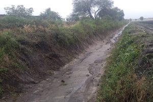 Realizan desazolve de canal y desagüe en El Espíritu para proteger cultivos