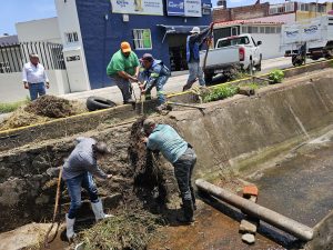Vecinos y SAPAZ limpian canal pluvial en Ex Hacienda El Refugio