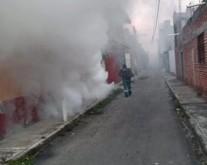 Refuerzan fumigación contra el dengue en Zamora