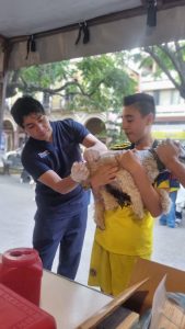 Exitosa jornada de adopciones y vacunación antirrábica “AdoptAmor” en Zamora