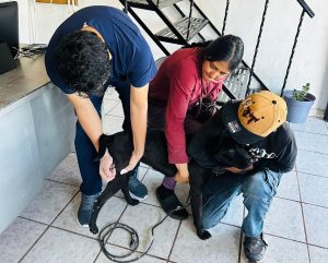 Llevan campaña de esterilización de animales de compañía a la Tenencia de La Rinconada