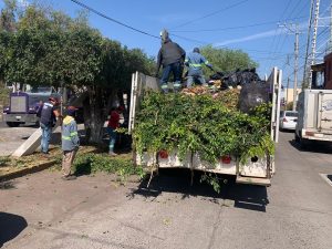 Recuperan espacios públicos para los zamoranos en Arboledas 3ª Sección