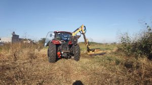 Avanzan trabajos para habilitar el nuevo vivero comunitario “Nido Verde”