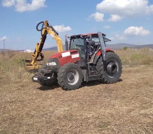 Realizan labores de mantenimiento y limpieza en el aeródromo